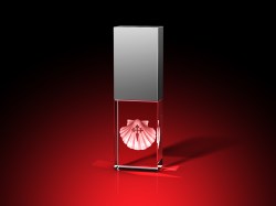 Jakobsmuschel - USB-Stick, LED weiß, 16 GB – GLASFOTO.COM